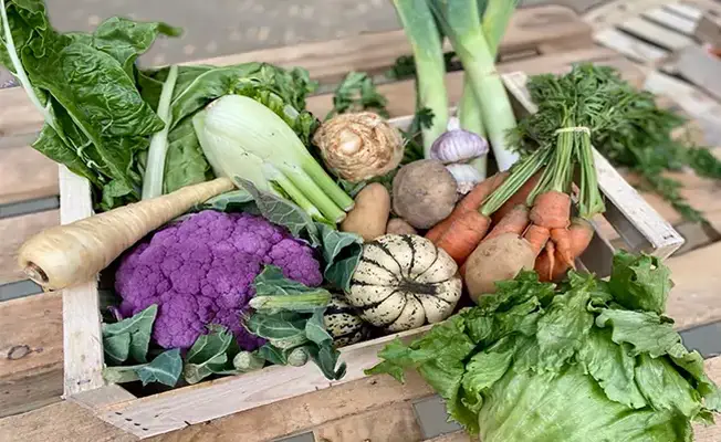 Cultures POP Panier légumes