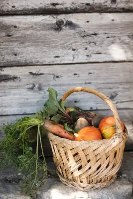 Un panier de légumes bio d'hiver Cultures POP