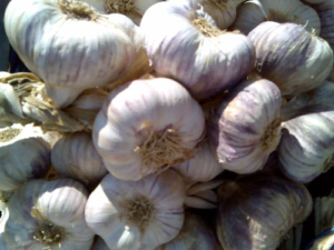 Ail-image