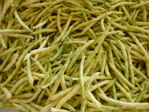 Haricots beurre-image