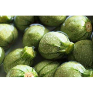 Courgettes niçoises-image